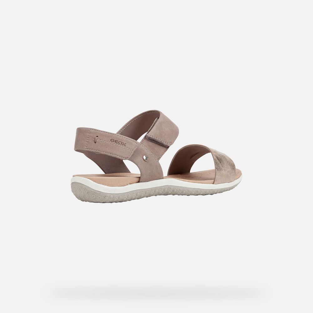 Geox Sandals Beige Vega - Geox Womens Shoes - KMBVLY054